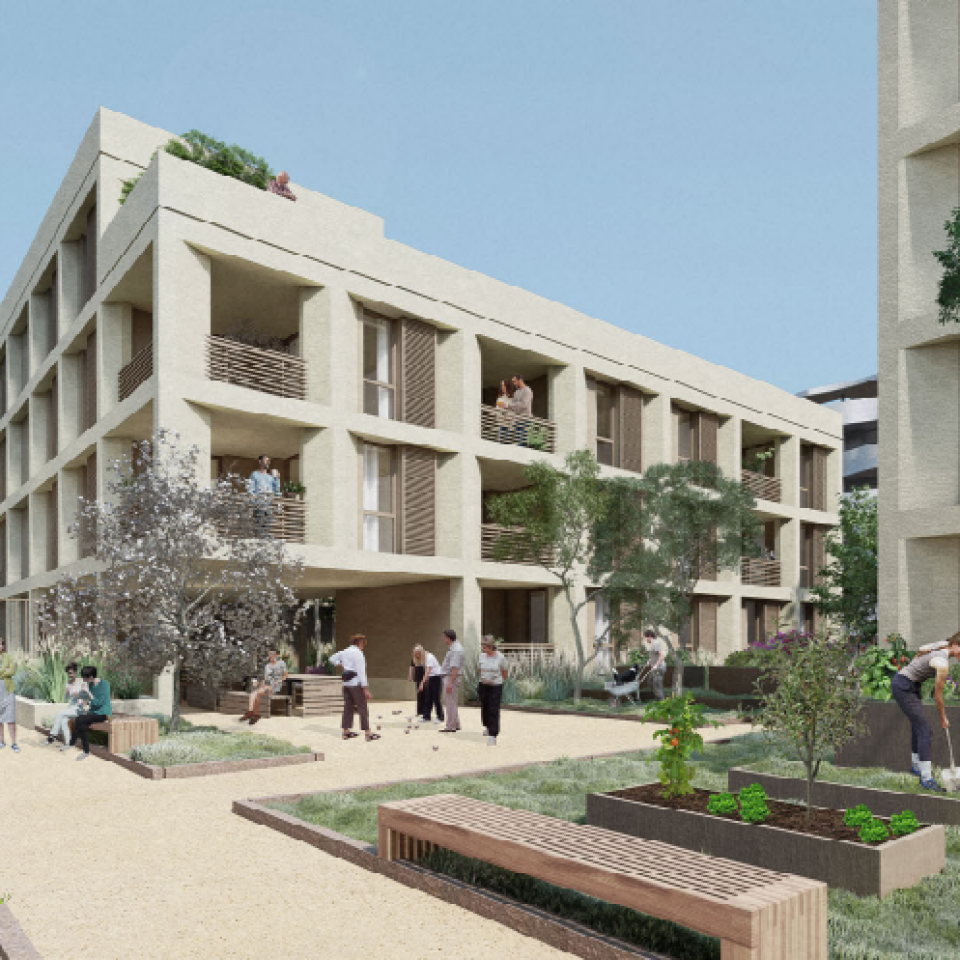 cour_commune_mellifera