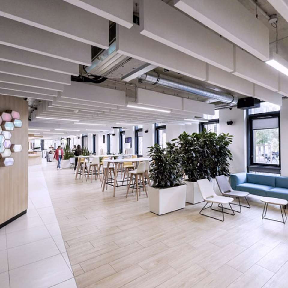 oqeewc3oqvstgtr7u6lda96w65lv